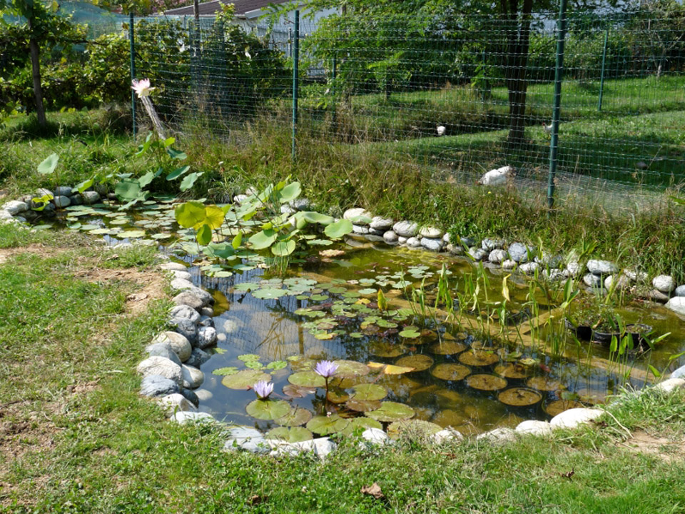 bassin our votre jardin dans le 06